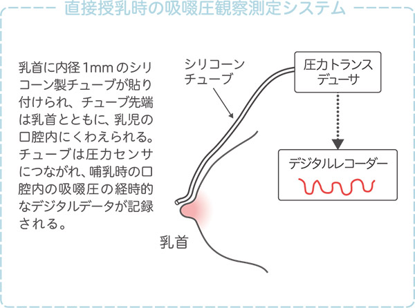 直接授乳時の吸啜圧観測システム