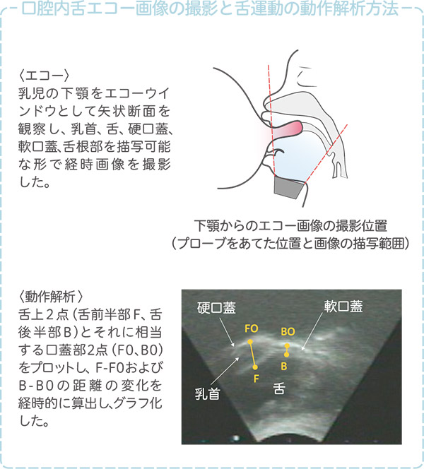 直接授乳時の吸啜圧観測システム