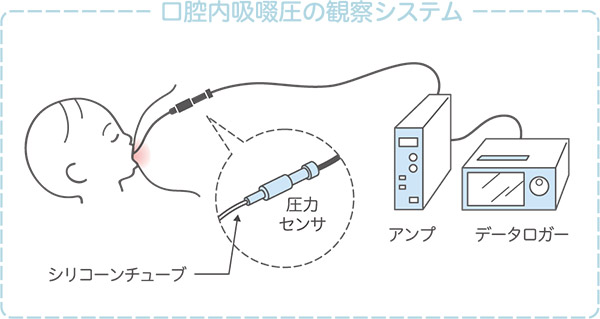 口腔内吸啜圧の観察システム