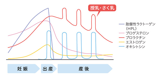 3つの段階グラフ