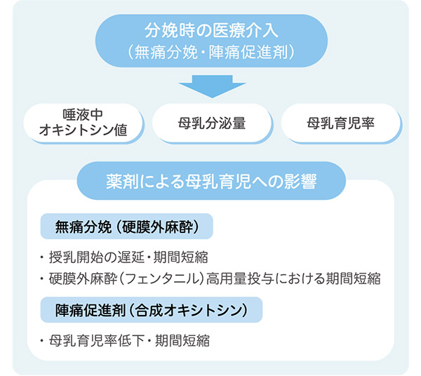 授乳研究と母乳育児支援